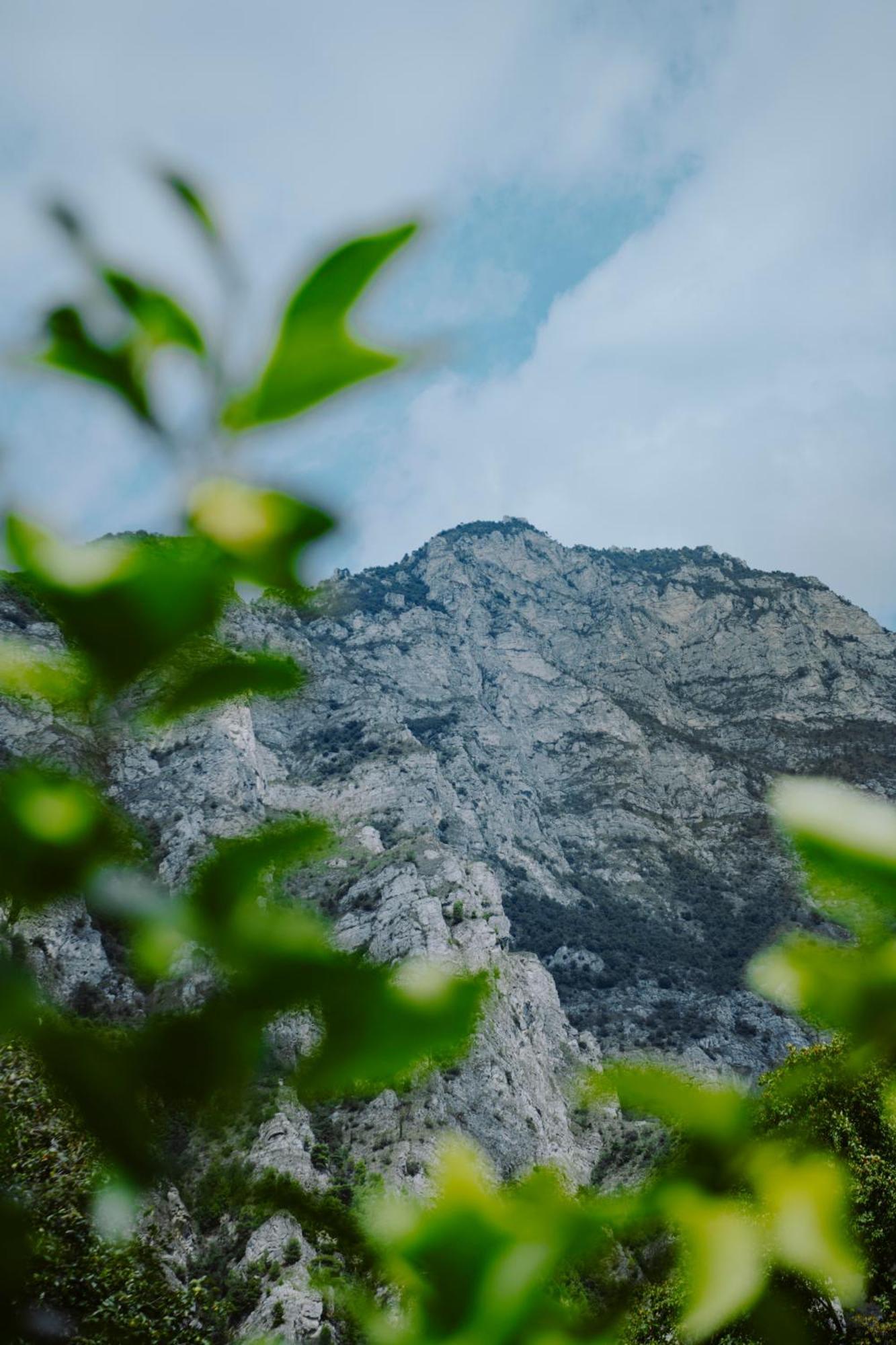 Hotel Limone Limone sul Garda Eksteriør bilde